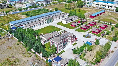 放大公司优势 做强特色产业