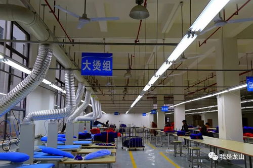 家门口的选择 宝塔工业园区首家企业已投产,众多岗位等你来