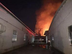 阳江一木艺制品厂发生火灾