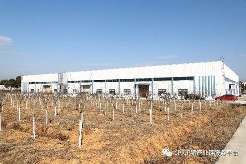 江西标杆农牧企业见闻之博莱集团 现代化工业园里的农业新图景